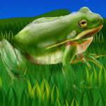 froggie012.jpg