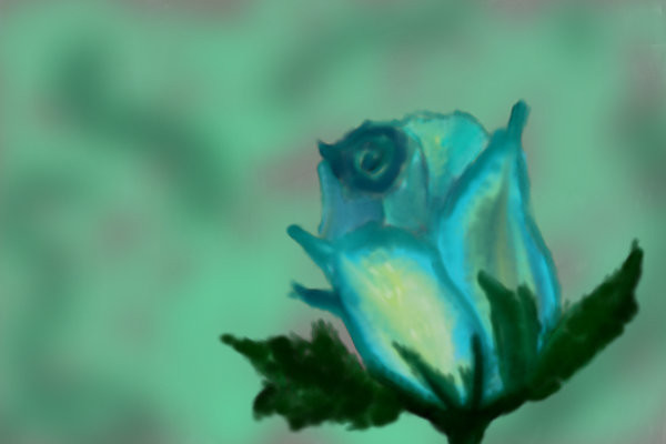 blue-rose