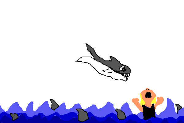 shark-atack
