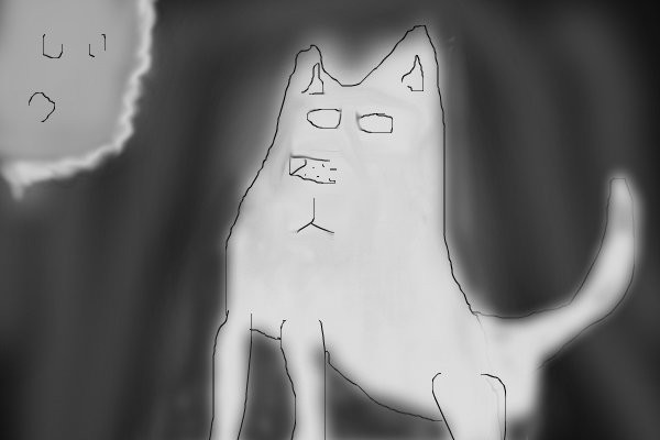 arctic-fox