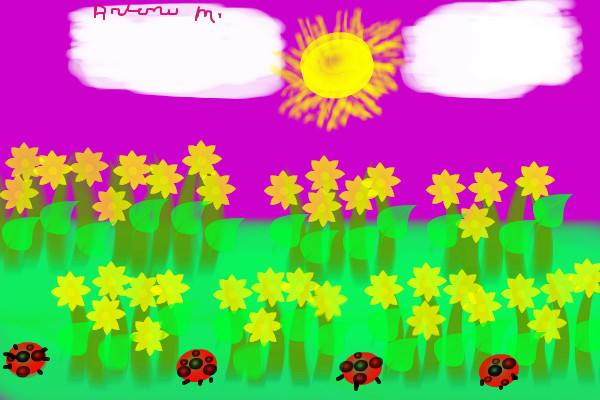 flowers-sun