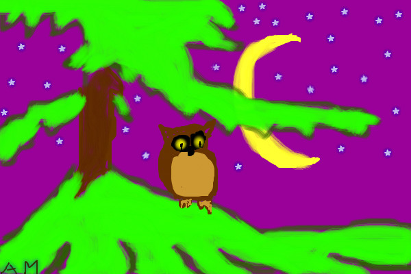 owl-o