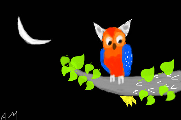 owl-bright