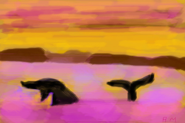 whales