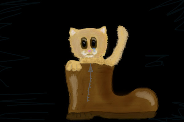 gato