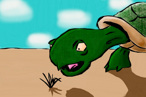 tortoise