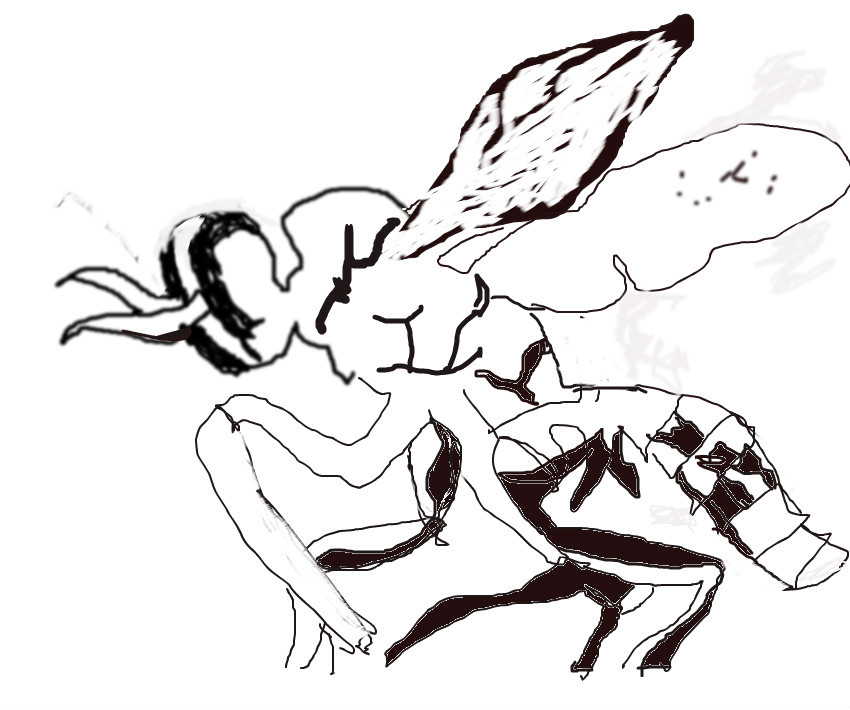freehand-wasp-aug-22-2