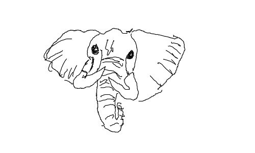 elephant
