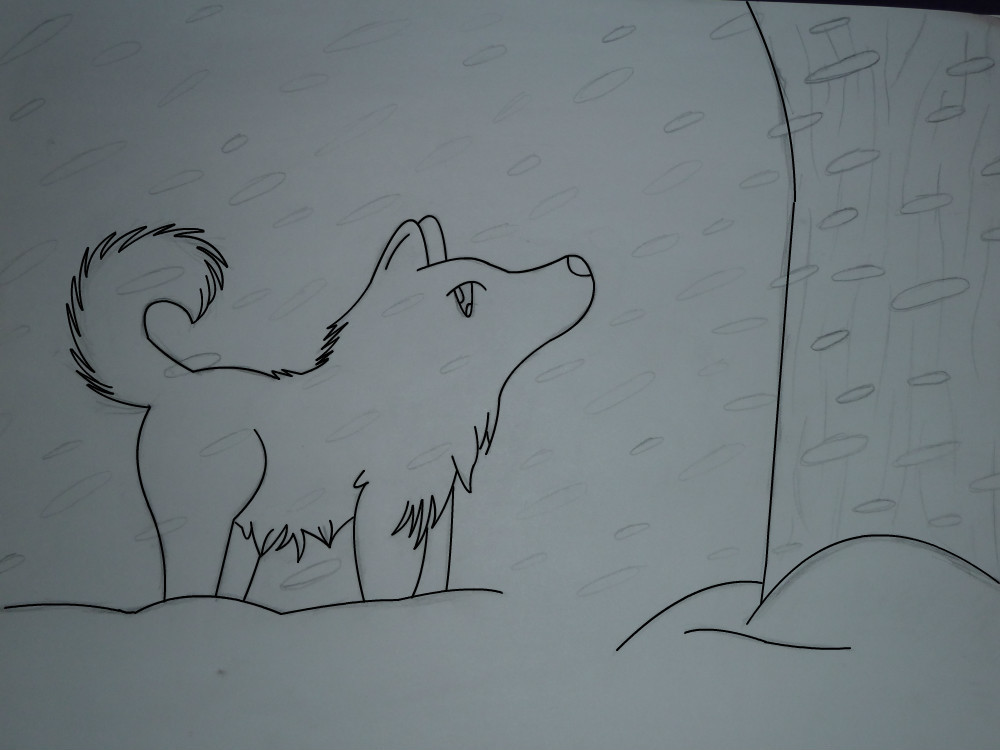 snowstormjpg