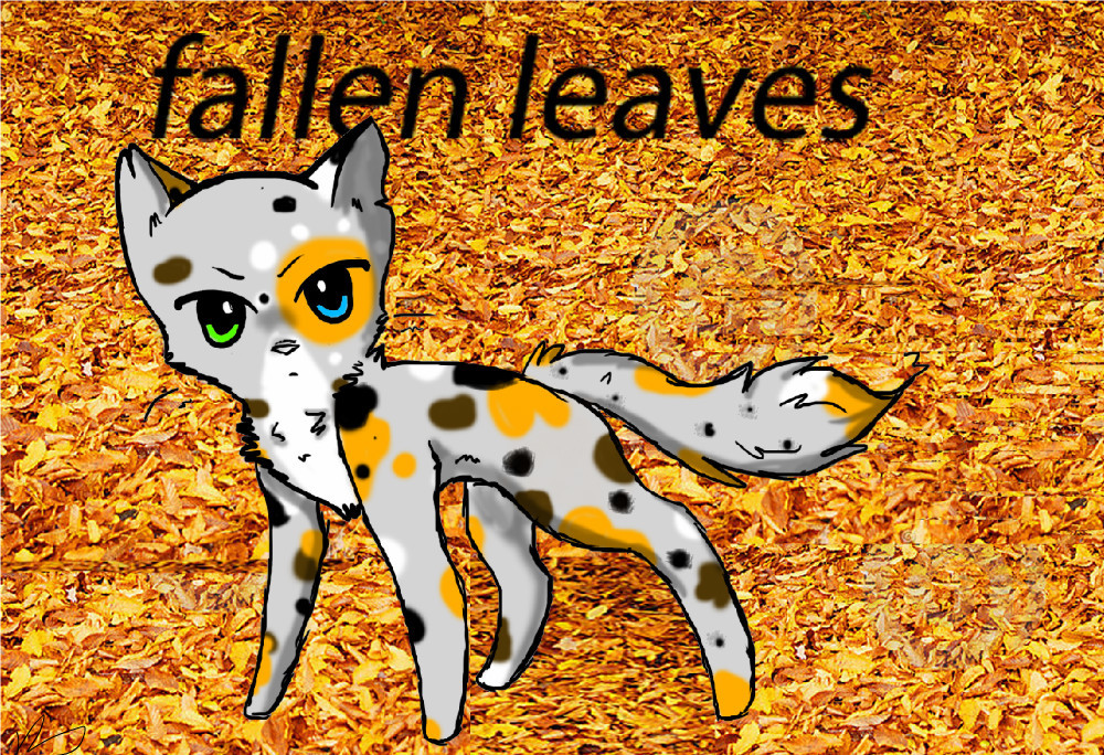 fallen-leaves