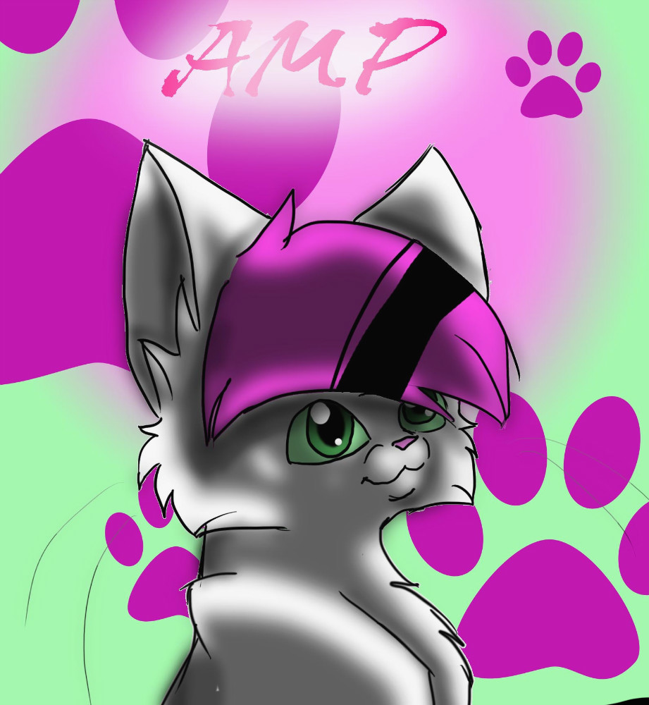 amp