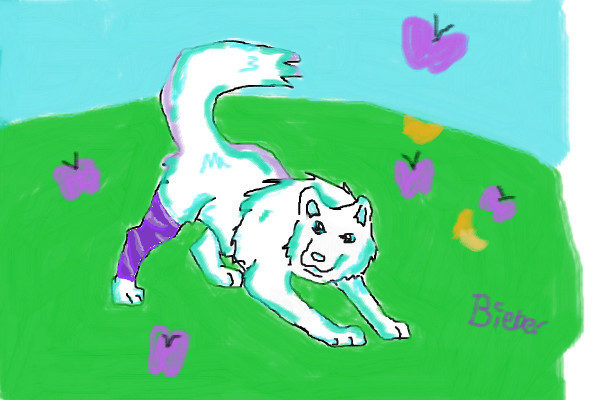wolf-cali