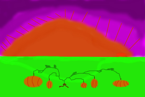 pumpkin-field