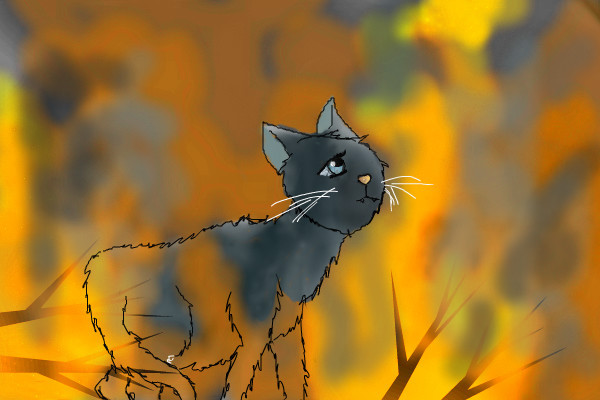 bluestar-uf