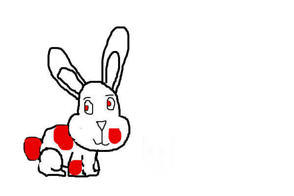 bunny