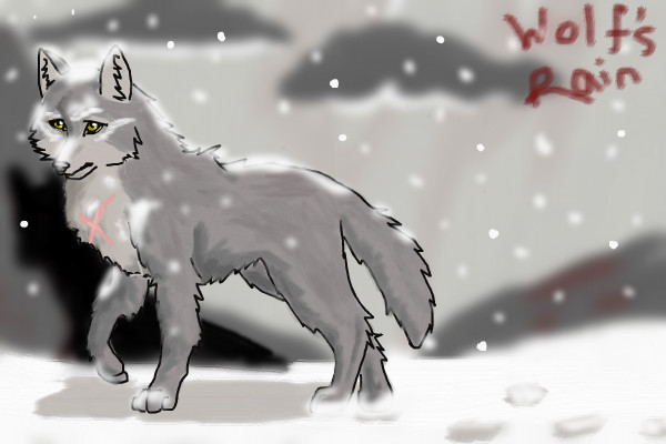 snow