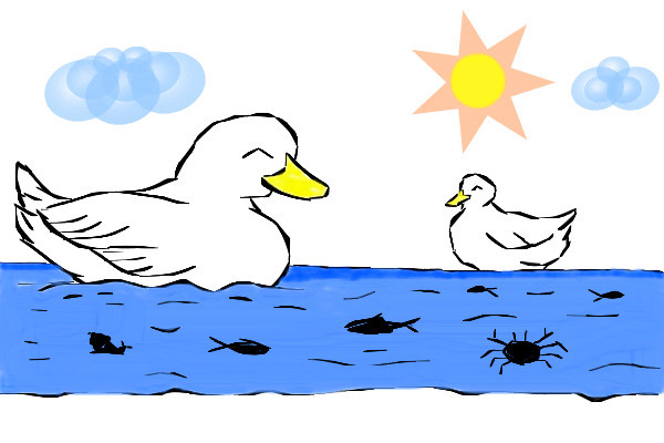 duck