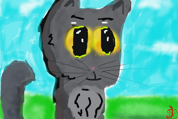 kitty