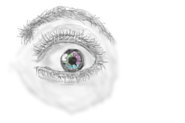 eye