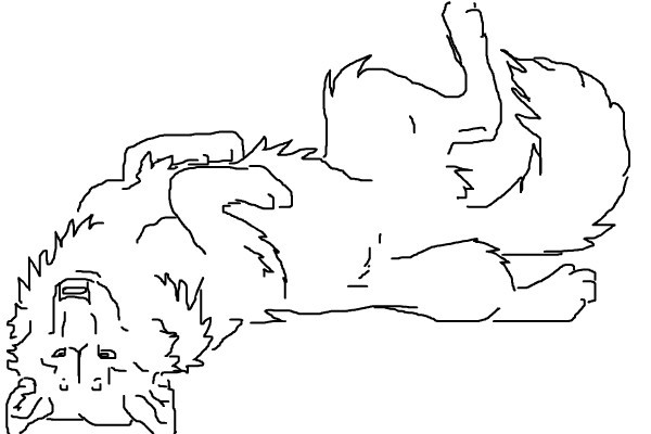 wolf
