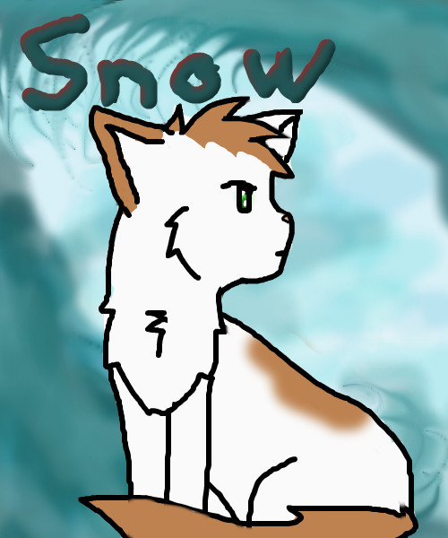 snow