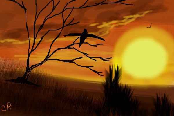 dawn