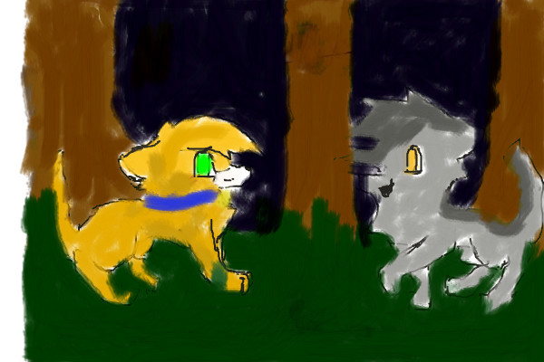 rusty-and-graypaw