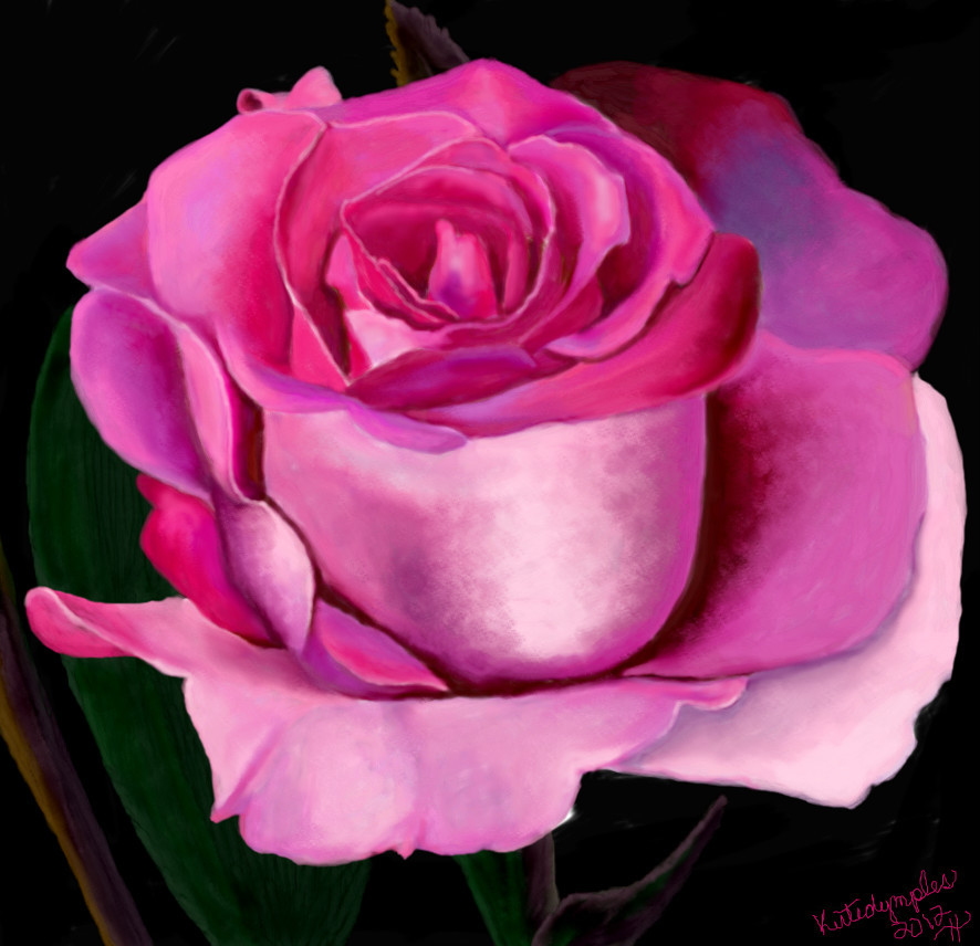pink-rose