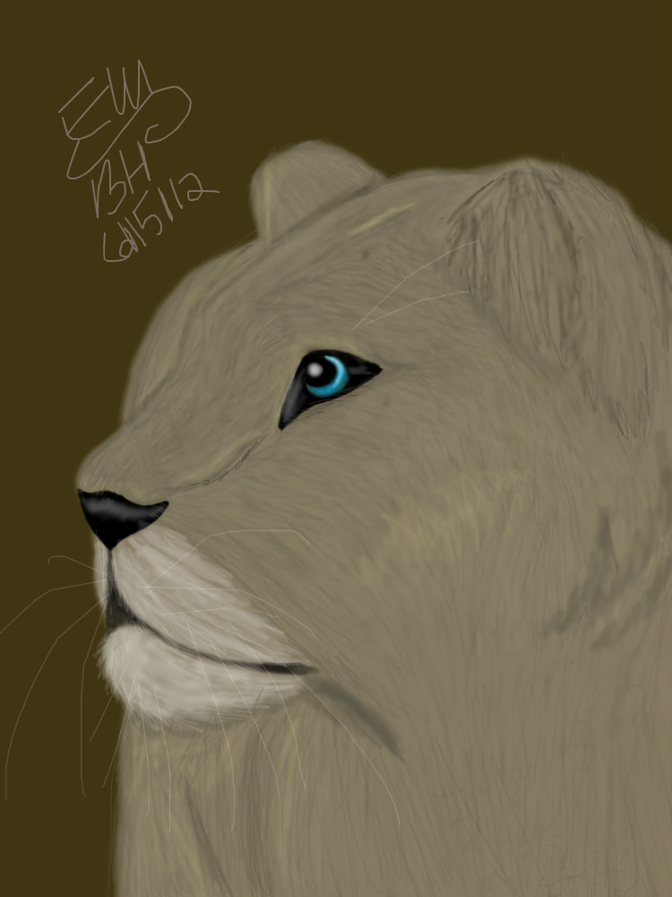 lioness