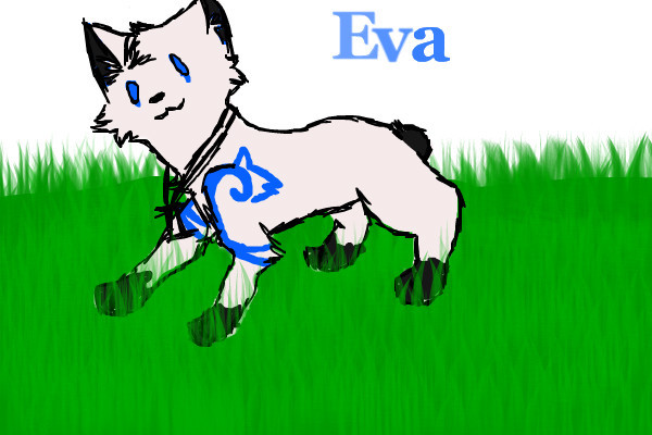 eva