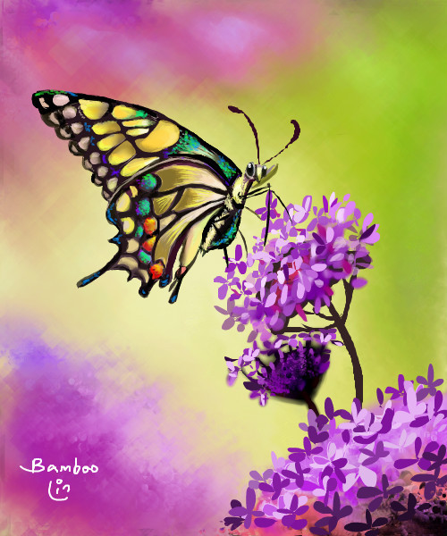 butterfly