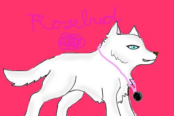 rosebud