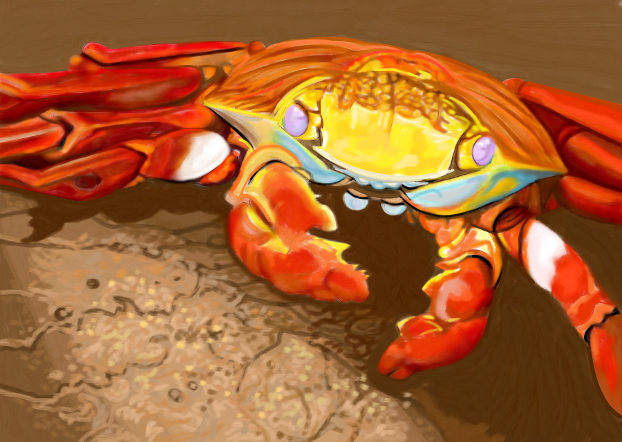 crab
