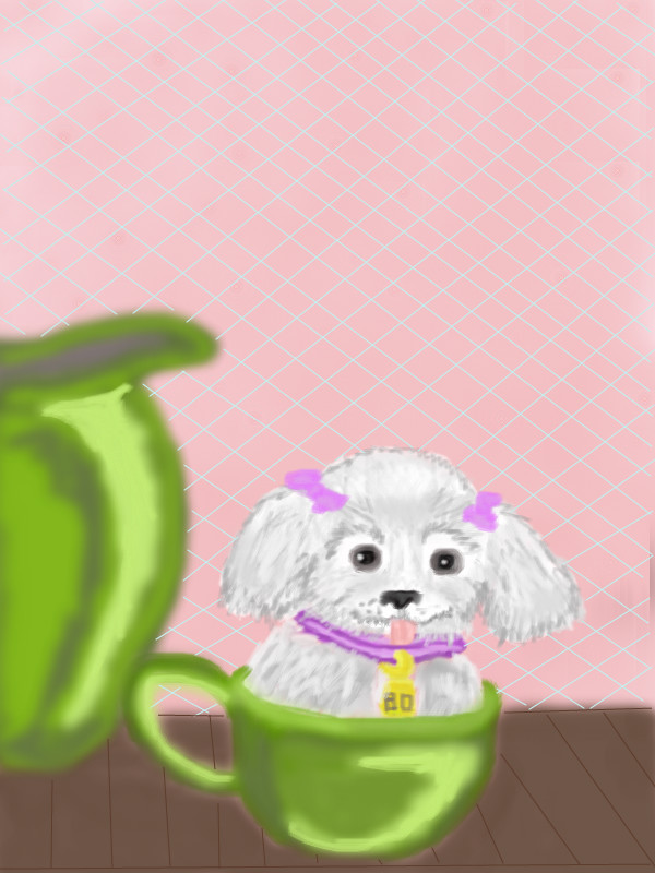 teacup-puppy
