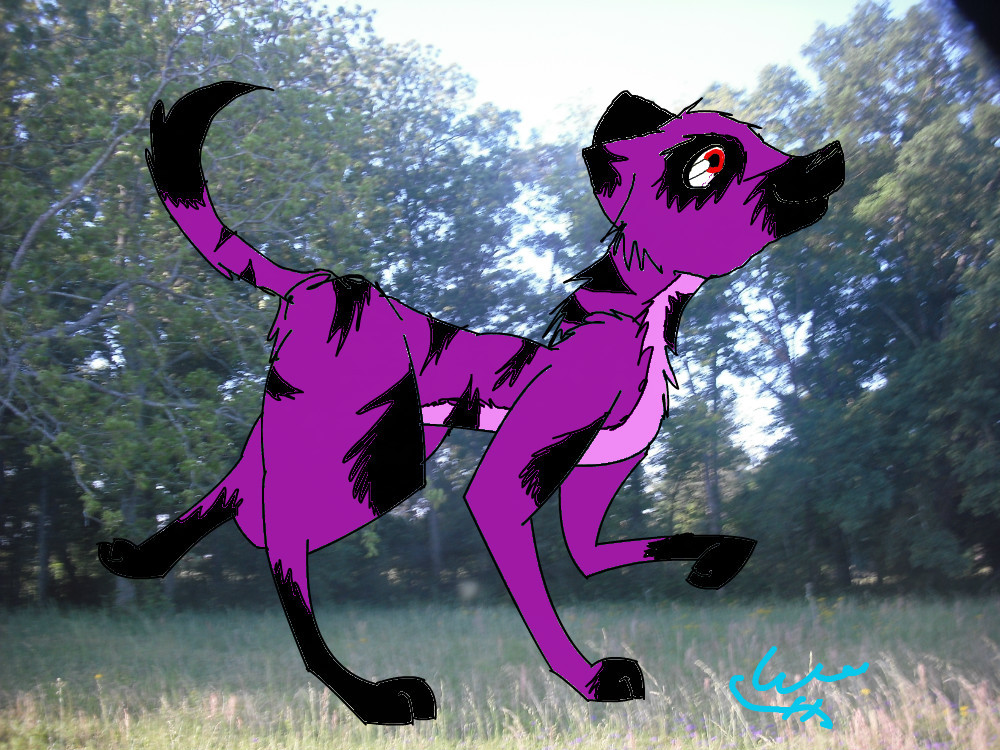 new-furry