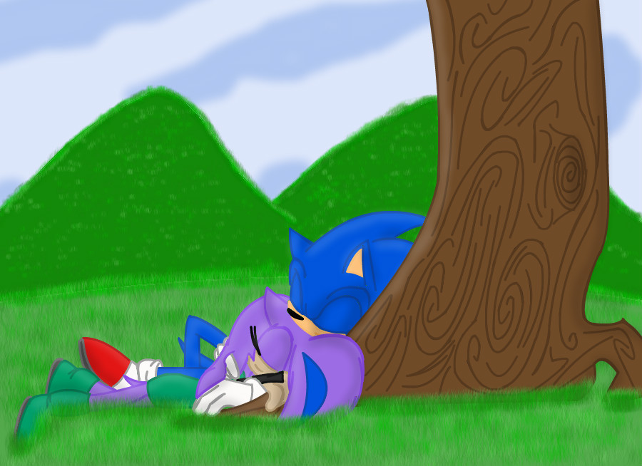 sonic-and-jenny