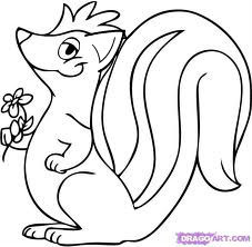 skunk-to-cat