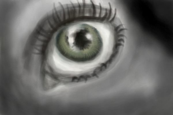 amongst-the-grey