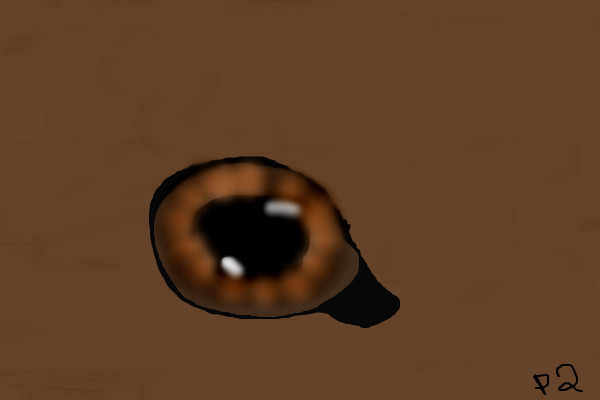 horses-eye