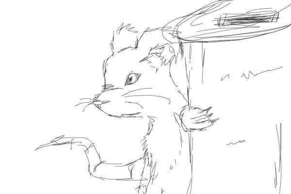 rat-sketch