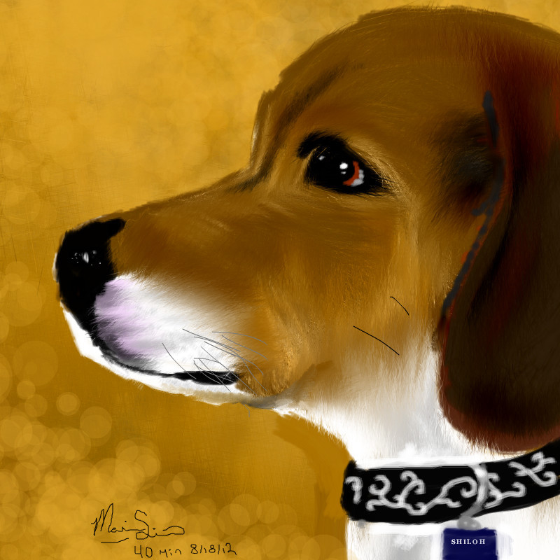 shiloh