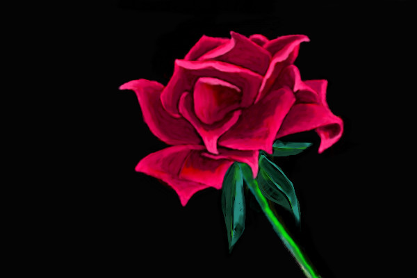 rose