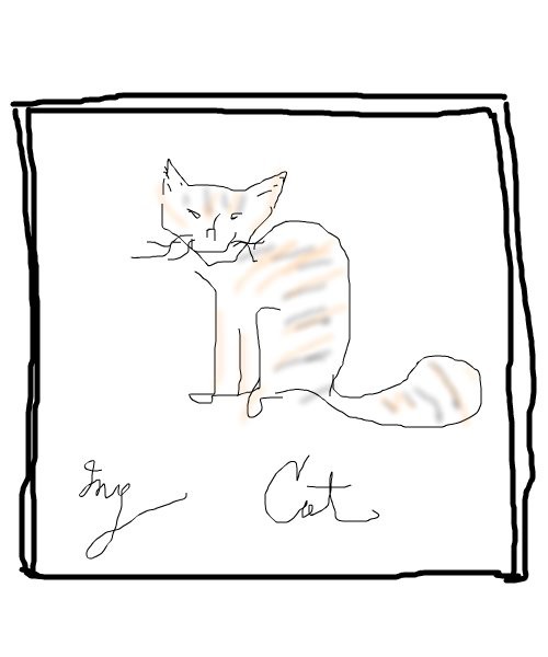 my-cat