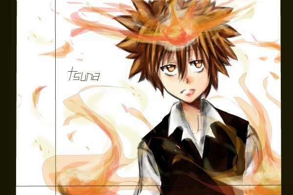 tsuna-hitman-reborn