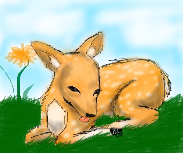 deer-in-the-grass