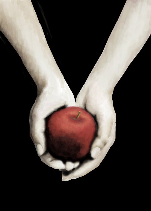 twilight-book-cover