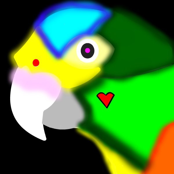 parrot