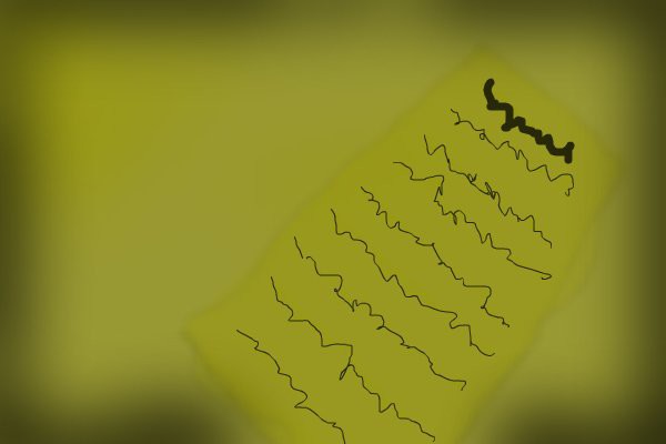 manuscript