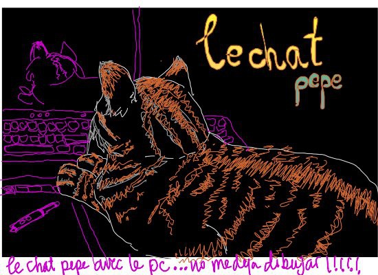 le-chat