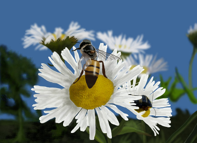 bzzz